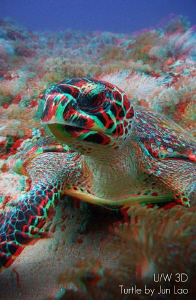 3d glassses needed (red/cyan), Anaglyph Photo by Jun Lao 
